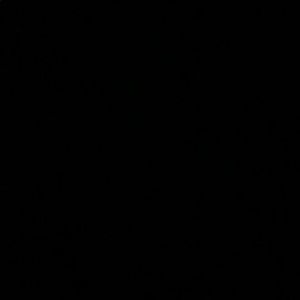 Meet your Posher, Genevieve